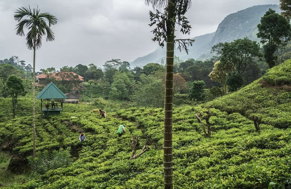 Places To Visit in Sri Lanka in December