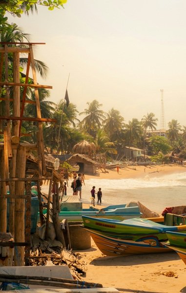 Arugam Bay