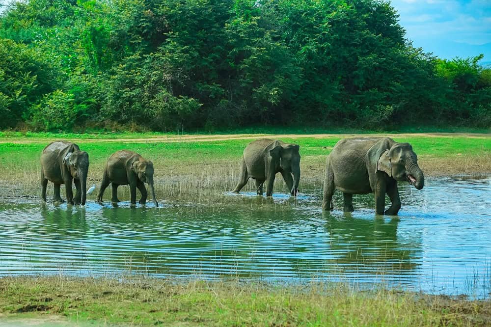 Places to Visit in Sri Lanka in August