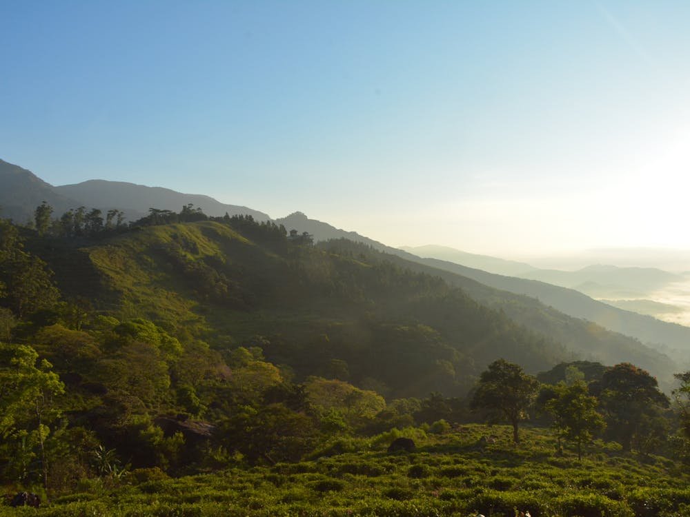 Sri Lanka Itinerary 5 Days
