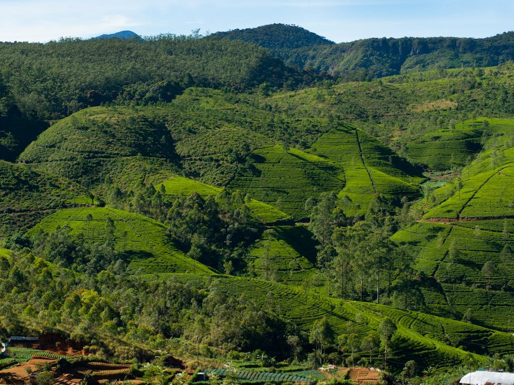 Sri Lanka Itinerary 2 Weeks