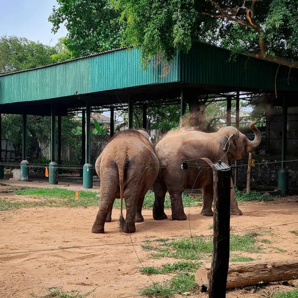 Dehiwala Zoo
