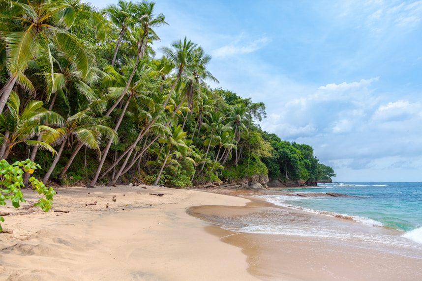 Sri Lanka in August travel guide