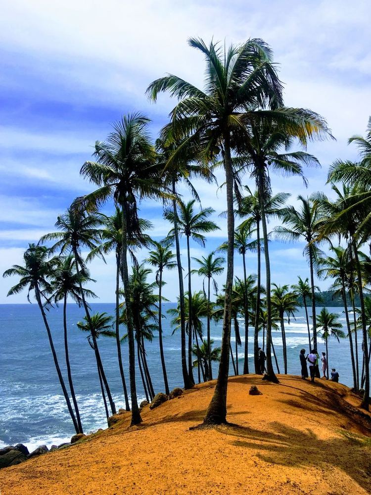Coconut Tree Hill above the sea at Mirissa