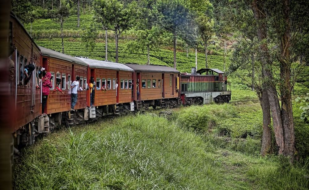 Hill-country train passing through tea estates