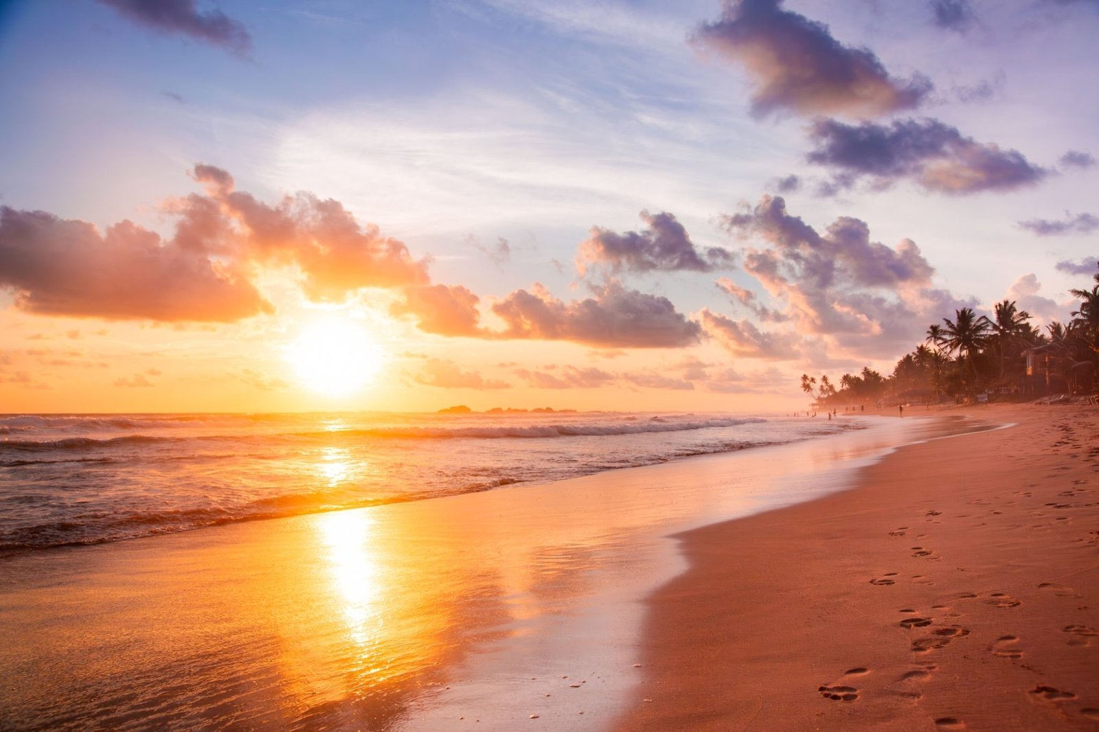 Tailor-made trips in Sri Lanka