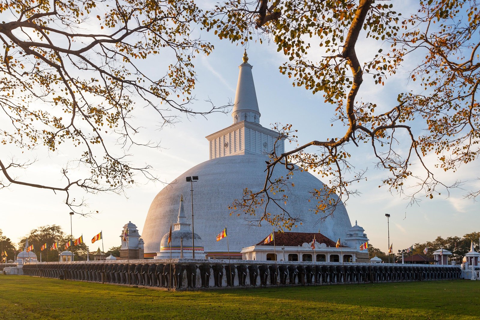 Sri Lanka 07 nights / 08 days Tour Package