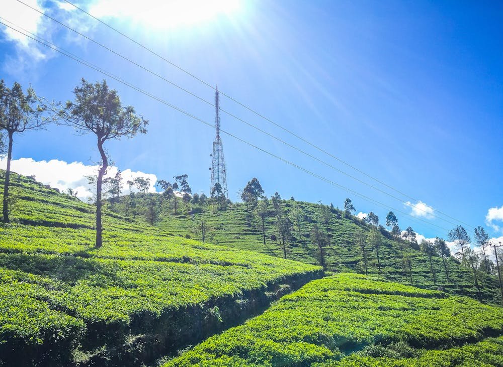 Places to Visit in Nuwara Eliya