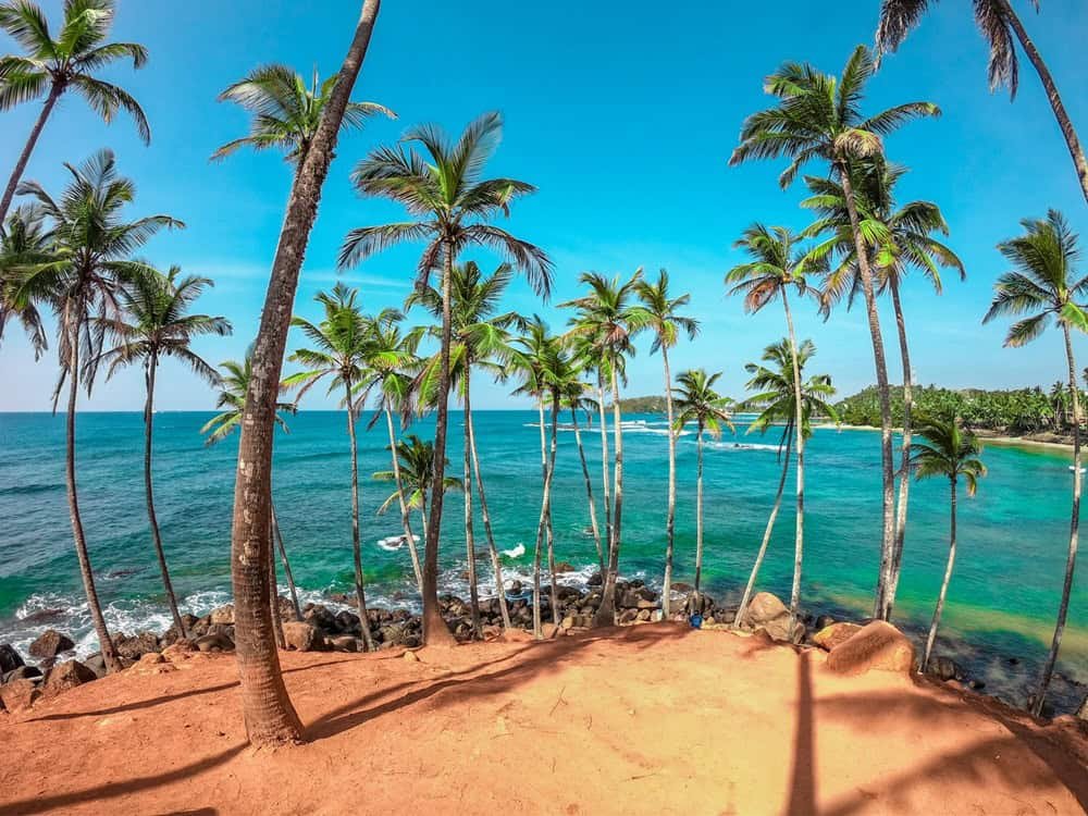 Places to Visit in Mirissa