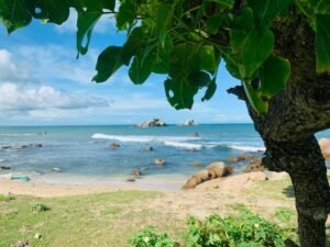 Places to Visit in Trincomalee