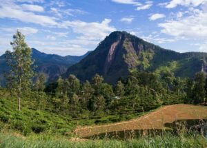 Places To Visit in Sri Lanka in June