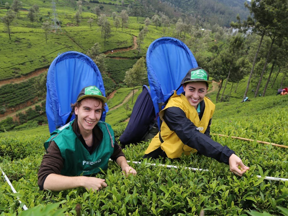 Sri Lanka Itinerary 14 Days