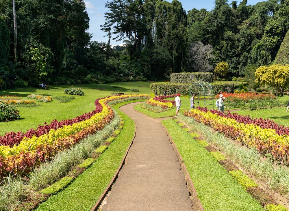 Royal Botanic Gardens